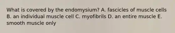 What is covered by the endomysium? A. fascicles of muscle cells B. an individual muscle cell C. myofibrils D. an entire muscle E. smooth muscle only