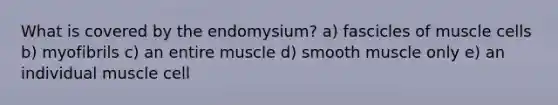 What is covered by the endomysium? a) fascicles of muscle cells b) myofibrils c) an entire muscle d) smooth muscle only e) an individual muscle cell