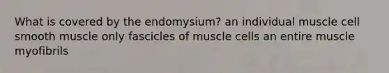 What is covered by the endomysium? an individual muscle cell smooth muscle only fascicles of muscle cells an entire muscle myofibrils