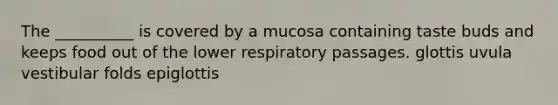 The __________ is covered by a mucosa containing taste buds and keeps food out of the lower respiratory passages. glottis uvula vestibular folds epiglottis