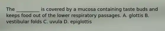 The __________ is covered by a mucosa containing taste buds and keeps food out of the lower respiratory passages. A. glottis B. vestibular folds C. uvula D. epiglottis