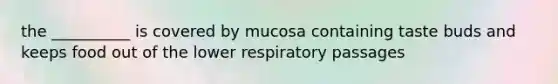 the __________ is covered by mucosa containing taste buds and keeps food out of the lower respiratory passages