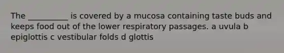 The __________ is covered by a mucosa containing taste buds and keeps food out of the lower respiratory passages. a uvula b epiglottis c vestibular folds d glottis