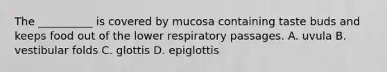 The __________ is covered by mucosa containing taste buds and keeps food out of the lower respiratory passages. A. uvula B. vestibular folds C. glottis D. epiglottis