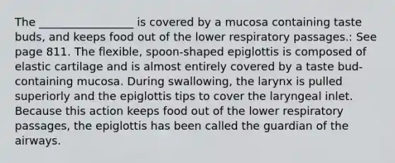 The _________________ is covered by a mucosa containing taste buds, and keeps food out of the lower respiratory passages.: See page 811. The flexible, spoon-shaped epiglottis is composed of elastic cartilage and is almost entirely covered by a taste bud-containing mucosa. During swallowing, the larynx is pulled superiorly and the epiglottis tips to cover the laryngeal inlet. Because this action keeps food out of the lower respiratory passages, the epiglottis has been called the guardian of the airways.