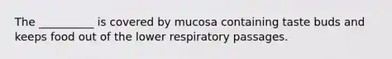 The __________ is covered by mucosa containing taste buds and keeps food out of the lower respiratory passages.