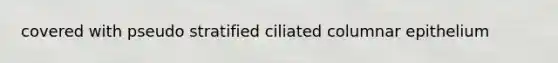 covered with pseudo stratified ciliated columnar epithelium