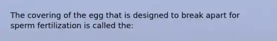 The covering of the egg that is designed to break apart for sperm fertilization is called the: