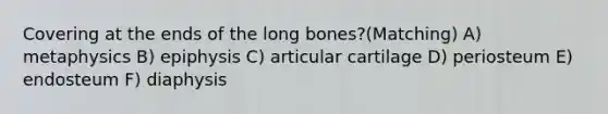 Covering at the ends of the long bones?(Matching) A) metaphysics B) epiphysis C) articular cartilage D) periosteum E) endosteum F) diaphysis