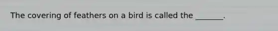 The covering of feathers on a bird is called the _______.