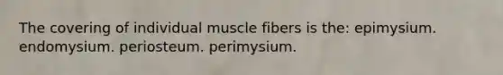 The covering of individual muscle fibers is the: epimysium. endomysium. periosteum. perimysium.