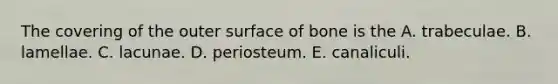 The covering of the outer surface of bone is the A. trabeculae. B. lamellae. C. lacunae. D. periosteum. E. canaliculi.