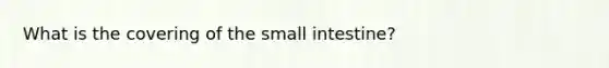 What is the covering of the small intestine?