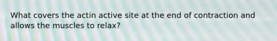 What covers the actin active site at the end of contraction and allows the muscles to relax?