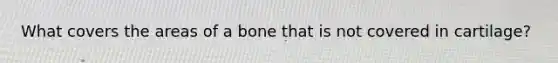 What covers the areas of a bone that is not covered in cartilage?