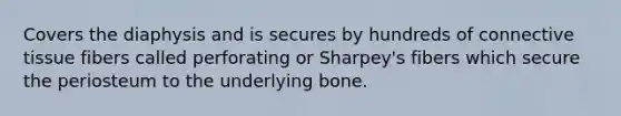 Covers the diaphysis and is secures by hundreds of connective tissue fibers called perforating or Sharpey's fibers which secure the periosteum to the underlying bone.