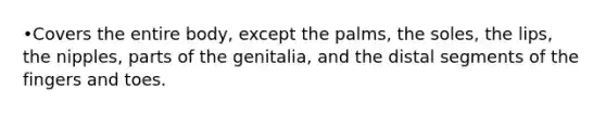 •Covers the entire body, except the palms, the soles, the lips, the nipples, parts of the genitalia, and the distal segments of the fingers and toes.