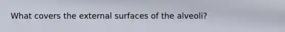 What covers the external surfaces of the alveoli?