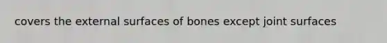 covers the external surfaces of bones except joint surfaces