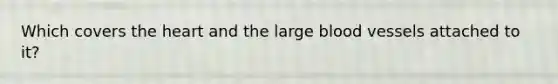 Which covers the heart and the large blood vessels attached to it?