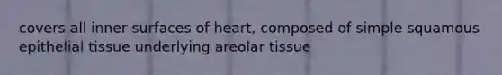 covers all inner surfaces of heart, composed of simple squamous epithelial tissue underlying areolar tissue