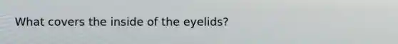 What covers the inside of the eyelids?