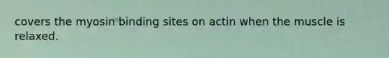 covers the myosin binding sites on actin when the muscle is relaxed.