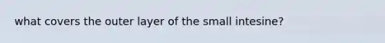 what covers the outer layer of the small intesine?