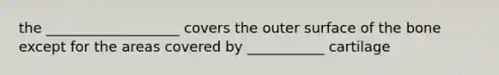 the ___________________ covers the outer surface of the bone except for the areas covered by ___________ cartilage