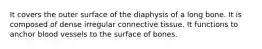 It covers the outer surface of the diaphysis of a long bone. It is composed of dense irregular connective tissue. It functions to anchor blood vessels to the surface of bones.