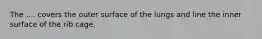 The .... covers the outer surface of the lungs and line the inner surface of the rib cage.