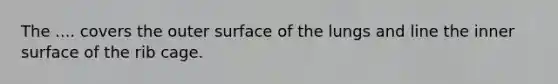 The .... covers the outer surface of the lungs and line the inner surface of the rib cage.