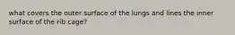what covers the outer surface of the lungs and lines the inner surface of the rib cage?