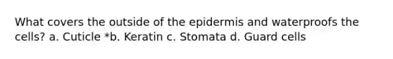 What covers the outside of the epidermis and waterproofs the cells? a. Cuticle *b. Keratin c. Stomata d. Guard cells