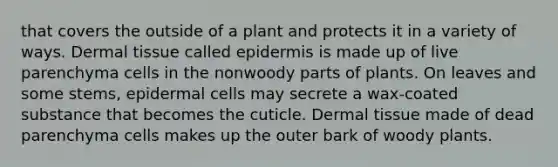 that covers the outside of a plant and protects it in a variety of ways. Dermal tissue called epidermis is made up of live parenchyma cells in the nonwoody parts of plants. On leaves and some stems, epidermal cells may secrete a wax-coated substance that becomes the cuticle. Dermal tissue made of dead parenchyma cells makes up the outer bark of woody plants.