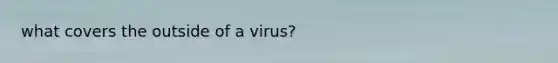 what covers the outside of a virus?