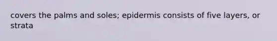 covers the palms and soles; epidermis consists of five layers, or strata