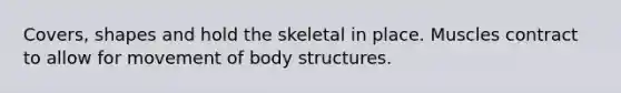 Covers, shapes and hold the skeletal in place. Muscles contract to allow for movement of body structures.