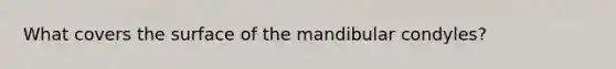 What covers the surface of the mandibular condyles?