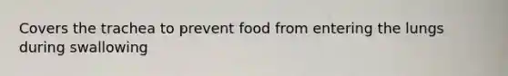 Covers the trachea to prevent food from entering the lungs during swallowing