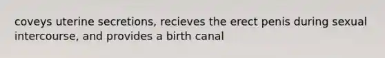 coveys uterine secretions, recieves the erect penis during sexual intercourse, and provides a birth canal