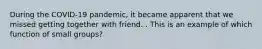 During the COVID-19 pandemic, it became apparent that we missed getting together with friend. . This is an example of which function of small groups?