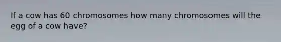 If a cow has 60 chromosomes how many chromosomes will the egg of a cow have?