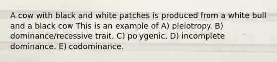 A cow with black and white patches is produced from a white bull and a black cow This is an example of A) pleiotropy. B) dominance/recessive trait. C) polygenic. D) incomplete dominance. E) codominance.