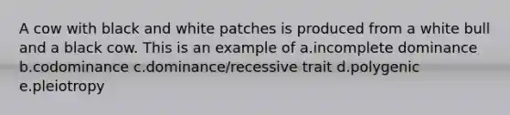 A cow with black and white patches is produced from a white bull and a black cow. This is an example of a.incomplete dominance b.codominance c.dominance/recessive trait d.polygenic e.pleiotropy