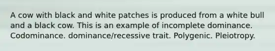 A cow with black and white patches is produced from a white bull and a black cow. This is an example of incomplete dominance. Codominance. dominance/recessive trait. Polygenic. Pleiotropy.