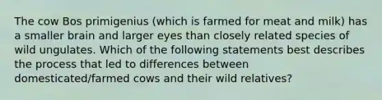 The cow Bos primigenius (which is farmed for meat and milk) has a smaller brain and larger eyes than closely related species of wild ungulates. Which of the following statements best describes the process that led to differences between domesticated/farmed cows and their wild relatives?