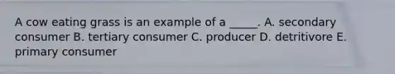 A cow eating grass is an example of a _____. A. secondary consumer B. tertiary consumer C. producer D. detritivore E. primary consumer