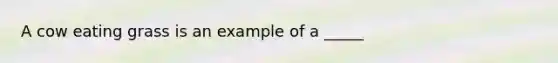 A cow eating grass is an example of a _____