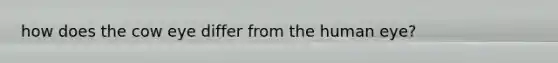 how does the cow eye differ from the human eye?